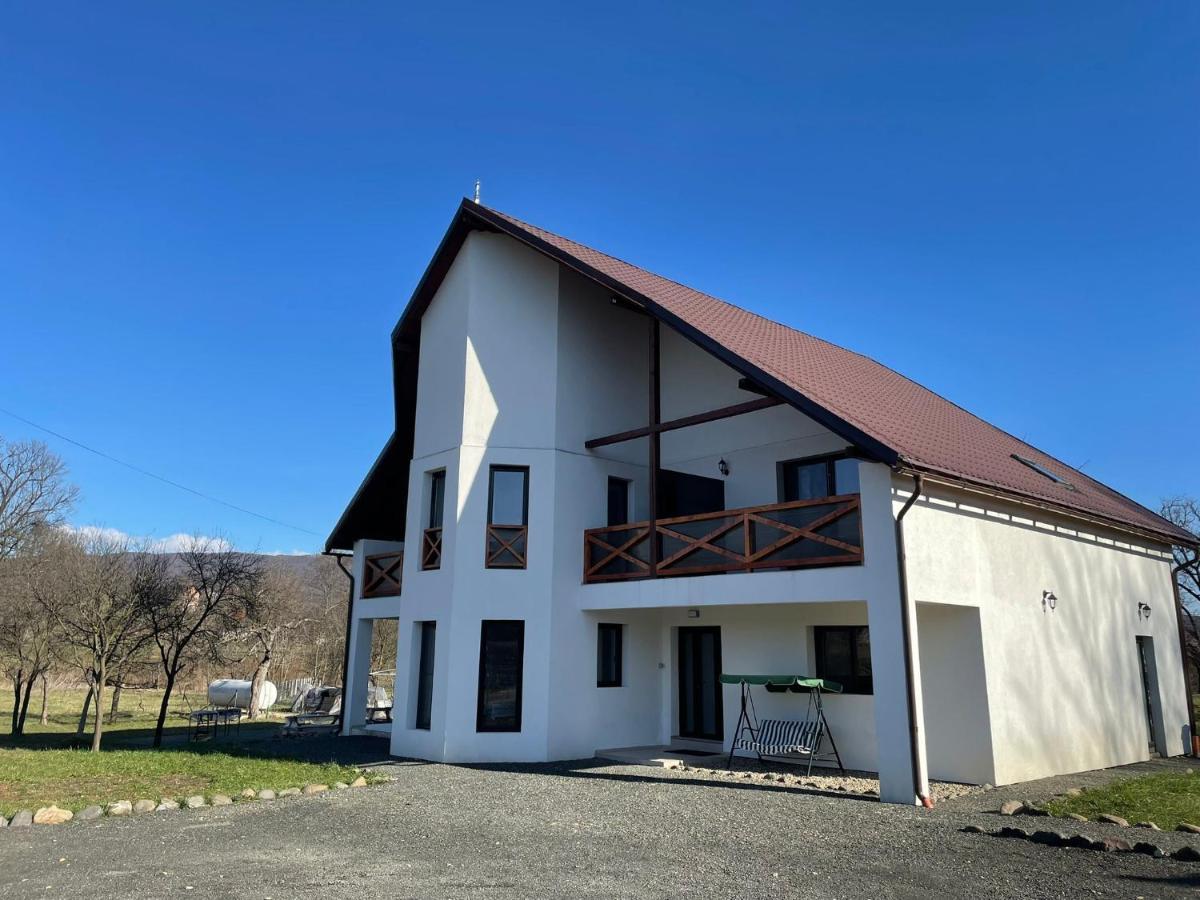 Pensiunea Rnb Maramures Surdesti  Экстерьер фото