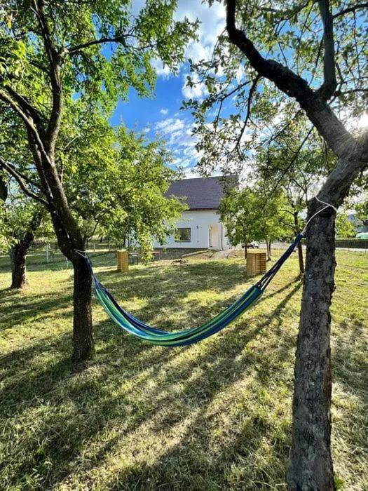 Pensiunea Rnb Maramures Surdesti  Экстерьер фото